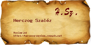 Herczog Szaléz névjegykártya